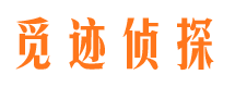 蝶山市婚姻出轨调查